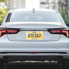 Stainless Steel Slim License Plate Frame with Metal Screw Caps, 2 Hole Polished